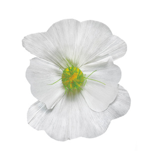 Fleur en papier, avec tige courte     Taille: Ø35cm    Color: blanc