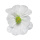 Blüte aus Papier, mit kurzem Stiel     Groesse: Ø35cm    Farbe: weiß