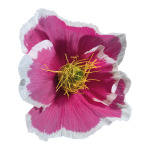 Blüte, aus Papier, Größe: Ø35cm Farbe: pink/weiss