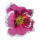 Blüte aus Papier, mit kurzem Stiel     Groesse: Ø35cm    Farbe: pink/weiß