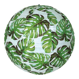 Lantern Philodendron, made of paper     Size: Ø30cm    Color: white/green