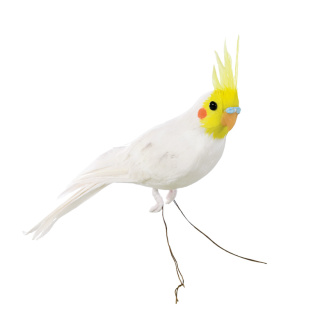 Cacatoès styromousse avec plumes     Taille: 30x5x12cm    Color: blanc/jaune