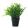 Bamboo leaves in pot      Size: 24cm    Color: green/black