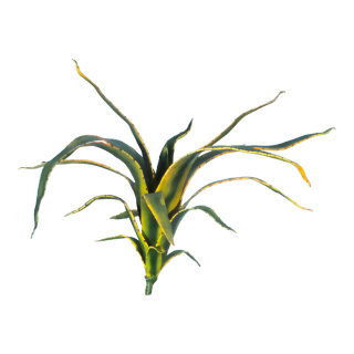 Aloepflanze 16-fach Größe:50cm Farbe: grün