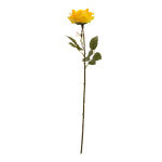 Rose   Color: jaune Size: 60cm