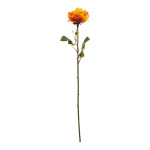 Rose   Color: orange Size: 60cm