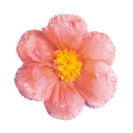 Papierblüte mit Hänger Größe:Ø40cm Farbe: pink