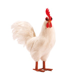 Coq Styromousse avec plumes  Color: blanc Size: 19x8x25cm