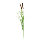 Bullrush 2-fold - Material: with onion grass - Color:...