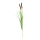 Bullrush 2-fold, with onion grass     Size: 120cm    Color: green/brown