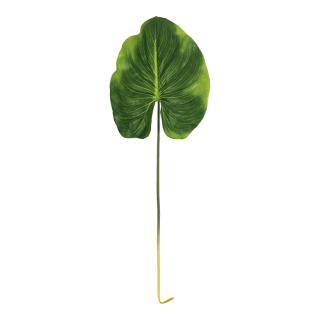 Canna leaf      Size: 85cm    Color: green