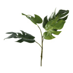 Split-Philo branch  - Material:  - Color: green - Size: 75cm