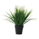 Gras im Topf,  Größe: 28cm Farbe: grün/schwarz