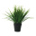 Grass in pot  - Material:  - Color: green/black - Size: 28cm