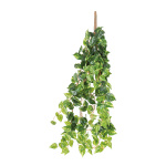 Pothos plante 13 fois  Color: vert clair Size: 80cm