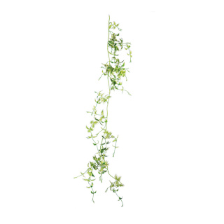 Weeping fig garland with leaves and 6 flower heads     Size: 180cm    Color: green/white