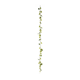 Hopfengirlande 48-fach, mit 12 Blätter     Groesse:180cm    Farbe:grün