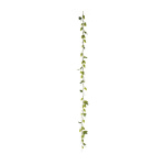 Hopfengirlande 48-fach, mit 12 Blätter     Groesse: 180cm...