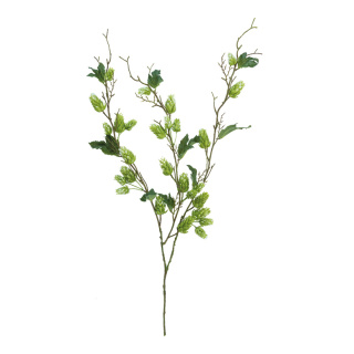 Hopfenzweig 3-fach, 30-fach, mit 9 Blätter     Groesse:75cm    Farbe:grün
