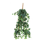 Ivy hanger 13-fold - Material:  - Color: dark green -...