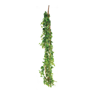 Pothosblatt-Hänger 13-fach     Groesse: 160cm    Farbe: hellgrün