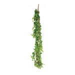 Pothosblatt-Hänger, 13-fach, Größe: 160cm Farbe: hellgrün