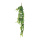 Pothos plante 13 fois     Taille: 120 cm    Color: vert clair