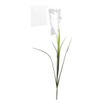 Reed with onion grass 130cm Color: green/brown