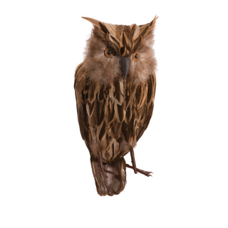 Owl  - Material: sitting in synthetic material with real feathers - Color: natural - Size:  X 35cm
