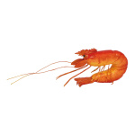 Shrimp      Size: 15cm    Color: orange