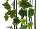 EUROPALMS Holland ivy bush tendril premium, artificial,...