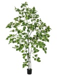 Birkenbaum, Kunstpflanze, 180cm