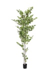 EUROPALMS Birch Tree, artificial plant, 210cm