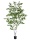 EUROPALMS Birkenbaum, Kunstpflanze, 210cm