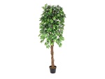 Ficus-Benjamini Multi-Stamm, Kunstpflanze, 180cm