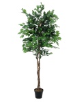 Ficus-Benjamini Multi-Stamm, Kunstpflanze, 210cm