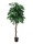 EUROPALMS Jungle tree Mango, artificial plant, 180cm