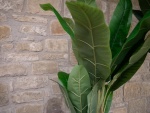 EUROPALMS Banana tree, artificial plant, 120cm