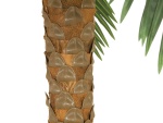 EUROPALMS Phoenix palm deluxe, artificial plant, 300cm