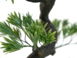 EUROPALMS Pine bonsai, artificial plant, 95cm