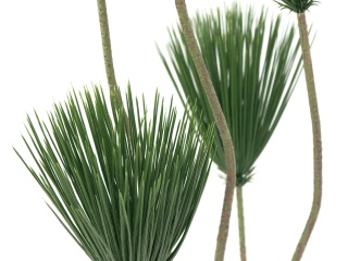 Papyrus, Kunstpflanze, 130cm
