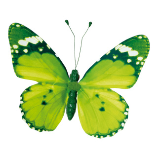 Papillon avec clip ailes en papier, corps en polystyrène     Taille: 20x30cm    Color: vert