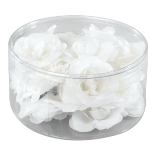 Têtes de roses 20pcs./blister, soie artificielle     Taille: 4,5cm    Color: blanc