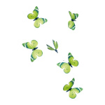 Papillon avec clip 6pcs./box, ailes en papier, corps en...