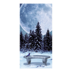 Motivdruck "Winternacht" aus Stoff   Info:...