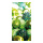 Motif imprimé " Boules de paillettes" en tissu  Color: vert Size: 180x90cm