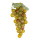 Weintrauben mit Hänger, 48-fach, aus Kunststoff     Groesse: 18cm    Farbe: rot/grün