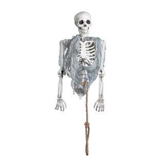 Skeletal torso hanging upside down - Material: with light effect - Color: grey - Size: 80cm