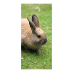 Motivdruck "Kaninchen" aus Stoff   Info: SCHWER...