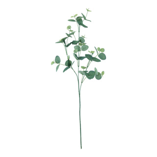 Eukalyptuszweig künstlich     Groesse: 76cm    Farbe: grün